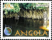 Mangroves at the banks of Rio Chiloango