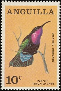 Purple-throated Carib (Eulampis jugularis)