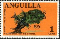 200 Year Old Mahogany Tree in "The Quarter" - Overprinted