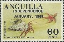 Hermit Crab and Starfish - Overprinted