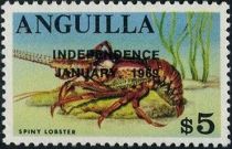 Caribbean Spiny Lobster (Panulirus argus) - Overprinted