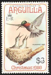 Ruby-throated Hummingbird (Archilochus colubris)