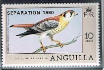 American Sparrow Hawk (Falco sparverius) - Overprinted