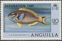 Stoplight Parrotfish (Sparisoma viride) - Overprinted