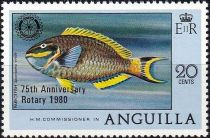 Stoplight Parrotfish (Sparisoma viride) - Overprinted