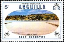 Salt Field