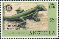 Ground Lizard (Anolis gingivinus) - Overprinted