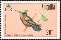 Antillean Crested Hummingbird (Orthorhyncus cristatus)