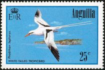 White-tailed Tropicbird (Phaethon lepturus)