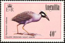 Yellow Crowned Night Heron (Nyctanassa violacea)