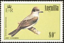 Grey Kingbird (Tyrannus dominicensis)