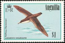 Audubon's Shearwater (Puffinus lherminieri)