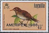 Pearly-eyed Thrasher (Margarops fuscatus) - Overprinted