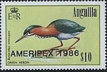 Green Heron (Butorides virescens) - Overprinted