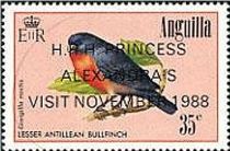 Lesser Antillean Bullfinch (Loxigilla noctis) - Overprinted