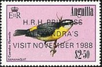 Bananaquit (Coereba flaveola) - Overprinted