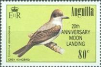 Grey Kingbird (Tyrannus dominicensis) - Overprinted