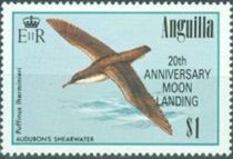 Audubon's Shearwater (Puffinus lherminieri) - Overprinted