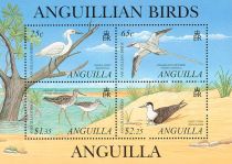 Anguillan Birds