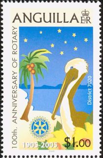 Brown Pelican and Palm Tree