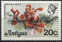 Flamboyant Tree (Delonix regia) - Overprinted