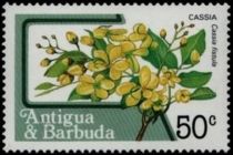 Cassia (Cassia fistula)