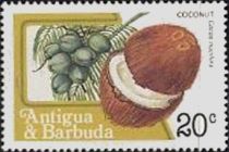 Coconut (Cocos nucifera)