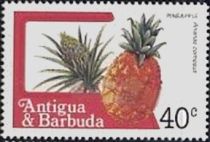 Pineapple (Ananas comosus)