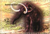 Columbian Mammoth (Mammuthus imperator)