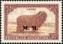 Merino Sheep (Ovis ammon aries)