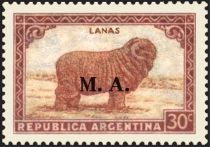 Merino Sheep (Ovis ammon aries), ovpt. "M.A."