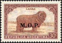 Merino Sheep (Ovis ammon aries), ovpt. "M.O.P."