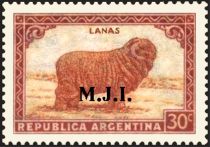 Merino Sheep (Ovis ammon aries), ovpt. "M.J.I."