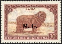 Merino Sheep (Ovis ammon aries), ovpt. "M.G."