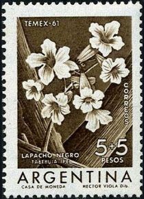 Lapacho negro (Tabebuia ipe)