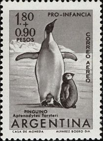 Emperor Penguin (Aptenodytes forsteri)