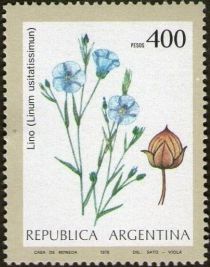 Lino (Linum usitatissimum)