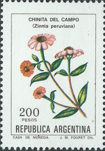 Chinita del campo (Zinnia peruviana) - Phosphor