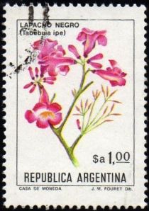 Lapacho Negro (Tabebuia impetiginosa) - Phosphor