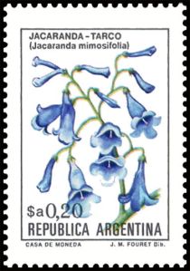 Jacaranda-Tarco (Jacaranda mimosifolia) - Fluo