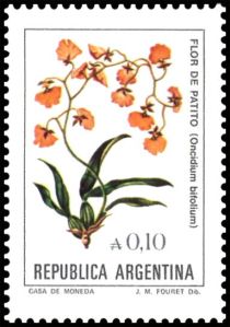 Flor de Patito (Oncidium bifolium)