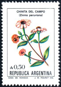 Chinita del campo (Zinnia peruviana)