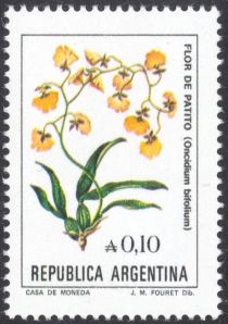 Flor de Patito (Oncidium bifolium) - Phosphor