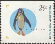 King Penguin (Aptenodytes patagonica)