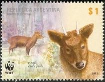 Southern Pudu (Pudu pudu)