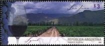 Wine regions - San Juan - Syrah