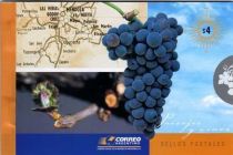 Wine Regions - Mendoza - Malbec