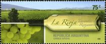 Tourism II - La Rioja - Wine Torrontés