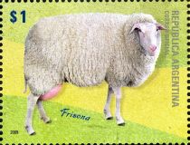 Frisona (Ovis ammon aries)