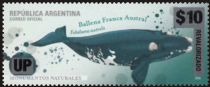 Southern Right Whale (Eubalaena australis) - Surcharged